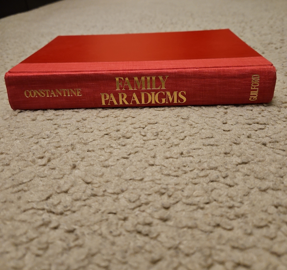Family Paradigms: The Practice of Theory in Family Therapy | Hardcover